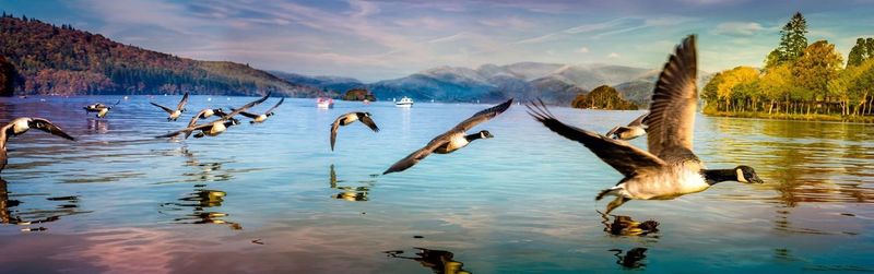 Scenic view of lake against sky