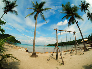 Palm trees and swings at beach against sky