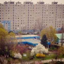 Buildings in city