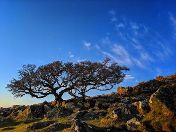 Low angle view of rock formations against sky