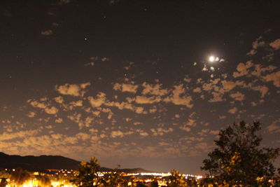 Silhouette trees against sky at night