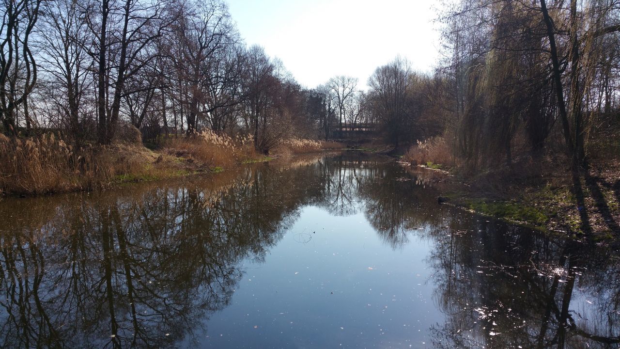 water, tree, reflection, tranquility, tranquil scene, lake, waterfront, scenics, beauty in nature, nature, clear sky, standing water, growth, day, river, idyllic, branch, outdoors, non-urban scene, sky