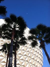 Low angle view of palm trees against clear blue sky