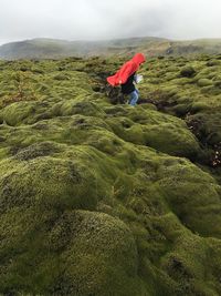 Rear view of man on mountain against sky