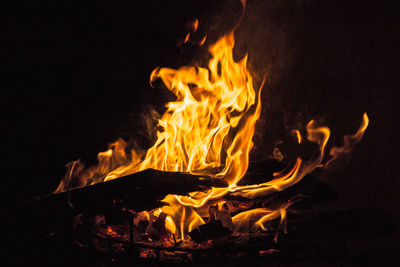 Close-up of bonfire at night