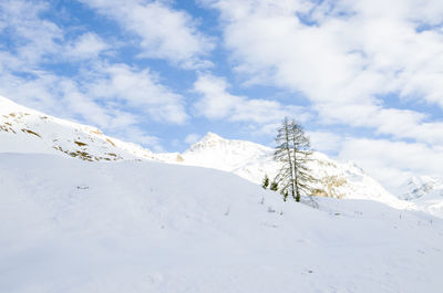 Scenic view of snowcapped mountain against sky