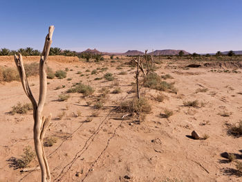 Scenic view of desert against sky