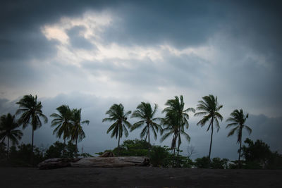 Palm trees on beach against sky at dusk