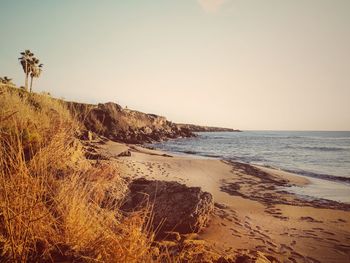 Scenic view of beach against clear sky during sunset