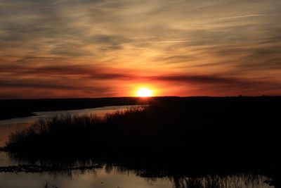 Scenic view of silhouette plants against sky during sunset