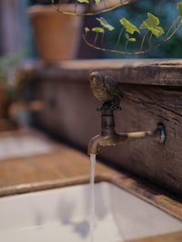 Close-up of a faucet