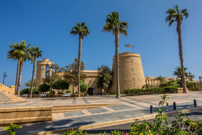 Palm trees against blue sky