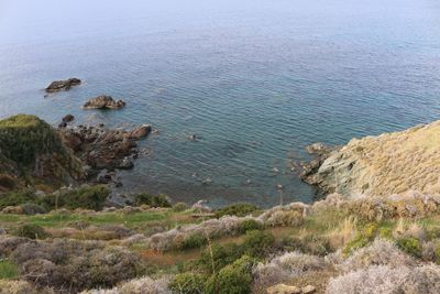 High angle view of bird on rock by sea against sky