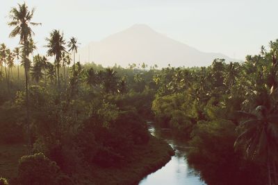 Scenic view of landscape with mountain in background