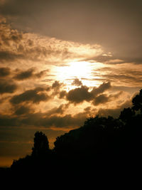 Low angle view of silhouette trees against sky during sunset