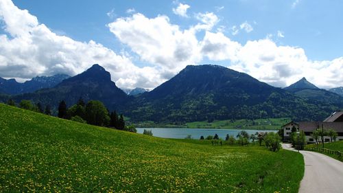 Landscape with mountain range in background