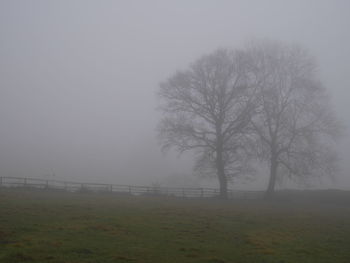 Scenic view of field in foggy weather