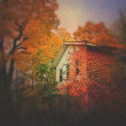 architecture
