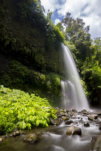 Waterfall with trees in background