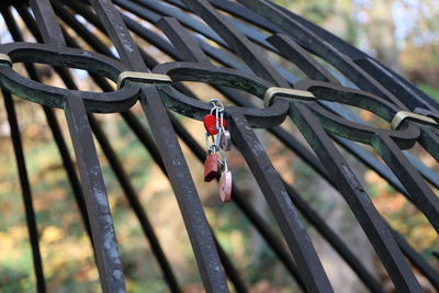 Close-up of padlocks on metal fence