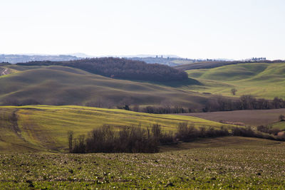 Scenic view of landscape against clear sky