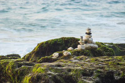 Stack of rocks on shore