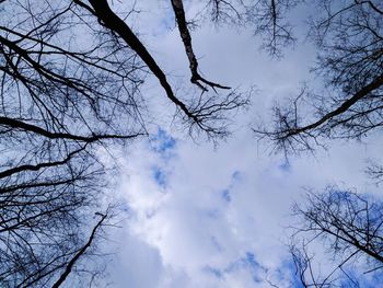 Low angle view of bare tree against sky