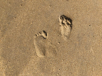 High angle view of baby footprints on sand