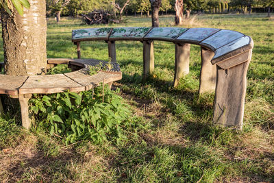 Empty bench on field by trees