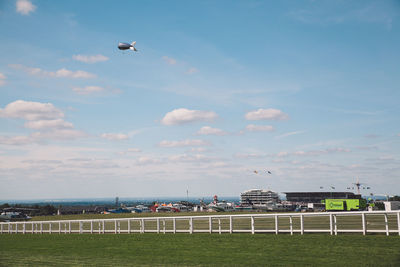 Bird flying over grass against sky