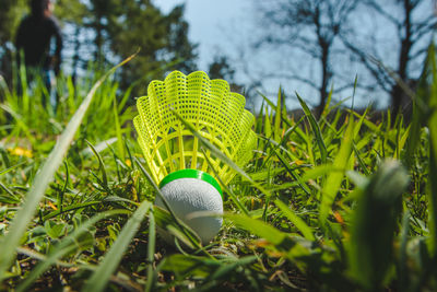 Close-up of green ball on field