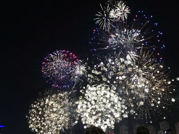 Low angle view of firework display at night