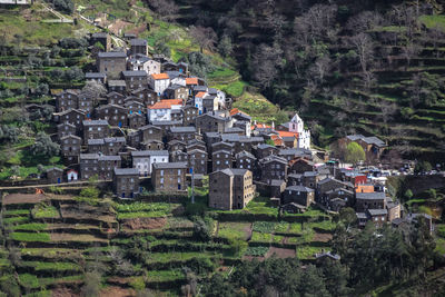 High angle view of houses and trees on field