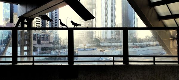window