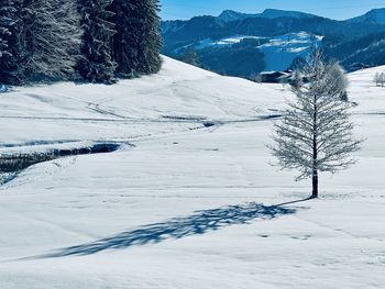 snow
