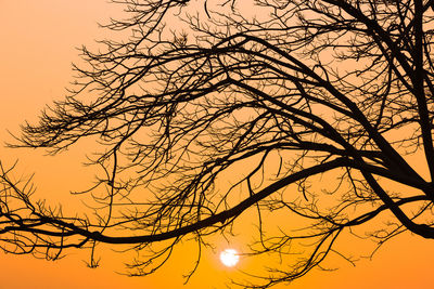 Low angle view of silhouette bare tree against sky at sunset