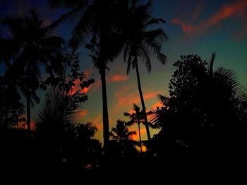 Silhouette trees against sky during sunset