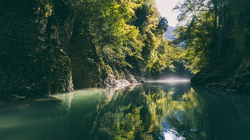 Scenic view of lake amidst trees in forest