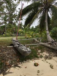 Scenic view of palm trees on beach