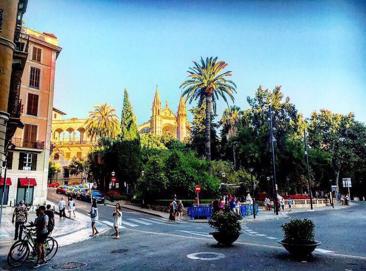 tree, architecture, built structure, palm tree, lifestyles, sky, city, sunlight, leisure activity, mixed age range, city life, day, outdoors, group of people, growth, blue, travel destinations, tourism, tree trunk, vacations