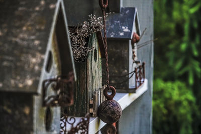 Close-up of old metal hanging on tree