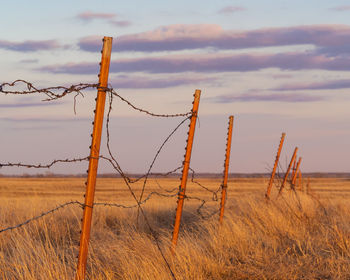 Fence on field against sky