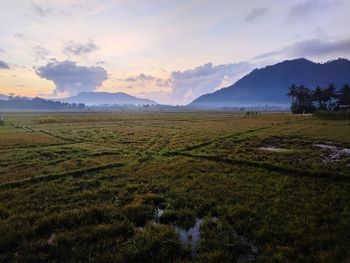 Scenic view of field against sky