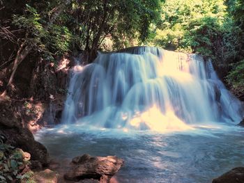 Scenic view of waterfall in forest