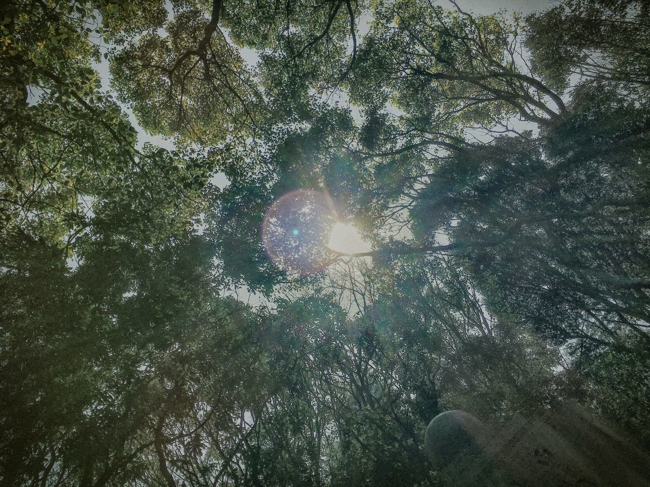 Jun
