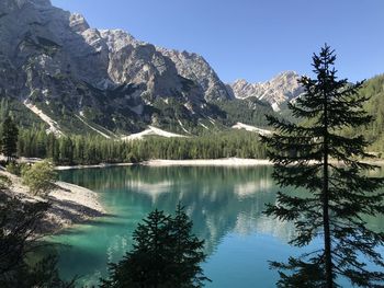 Scenic view of lake by trees against sky