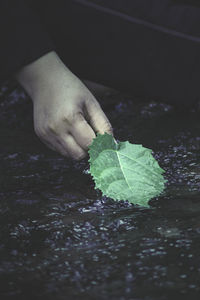 Green leaves to be washed away