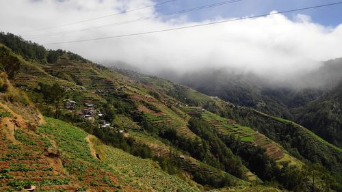 Scenic view of agricultural landscape against sky