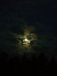 Low angle view of trees against sky at night