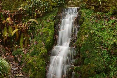 Scenic view of waterfall